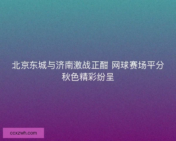 北京东城与济南激战正酣 网球赛场平分秋色精彩纷呈